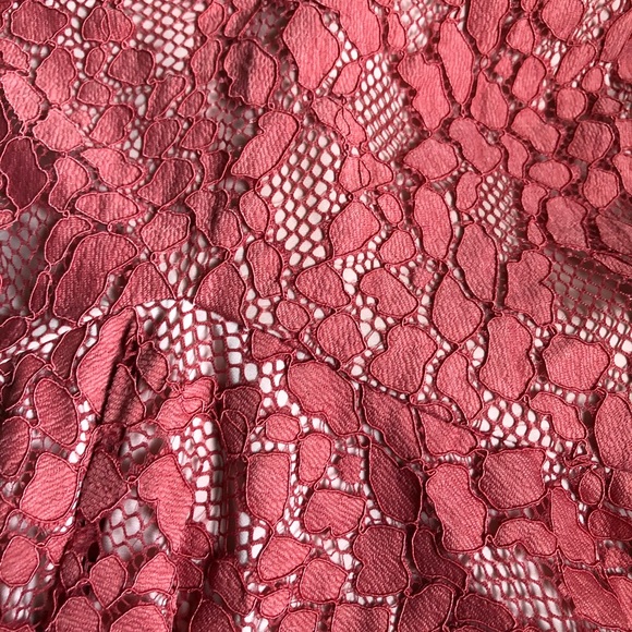 Alexis Braxten Lace Skirt Size M NEW - Picture 4 of 6